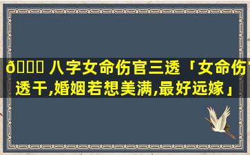 🐘 八字女命伤官三透「女命伤官透干,婚姻若想美满,最好远嫁」